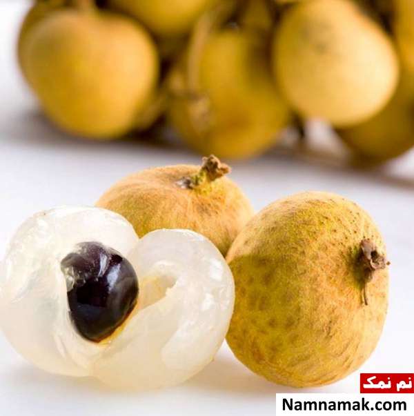 چشالو