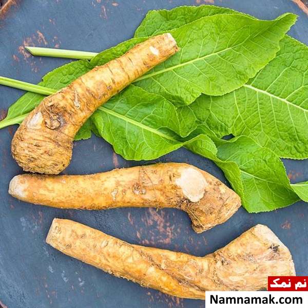 موارد مورد نیاز برای تهیه شربت ترب کوهی