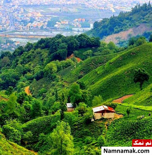لیلا کوه در روستای چمخاله گیلان