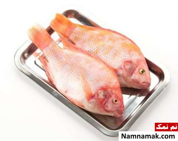 ماهی تیلاپیا خوب است یا نه؟