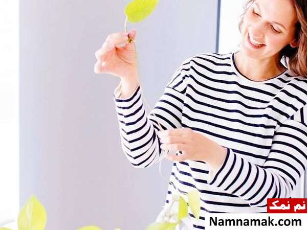 قلمه زدن قلمه زدن آرالیای برگ پهن