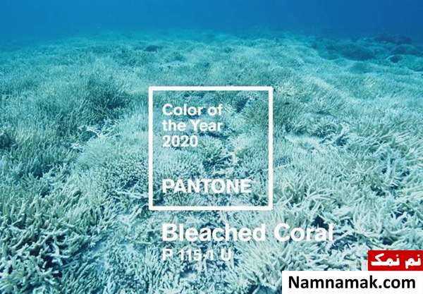 رنگ سفید مرجانی bleached coral color رنگ سال 2020 و 1399
