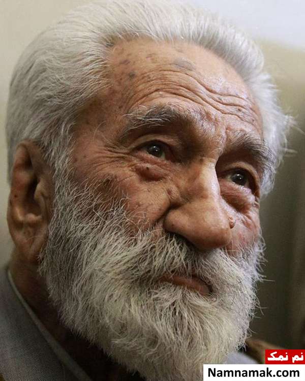 زندگینامه دکتر نورعلی تابنده قطب دراویش گنابادی و همسرش نورعلی تابنده - Nour Ali Tabandeh