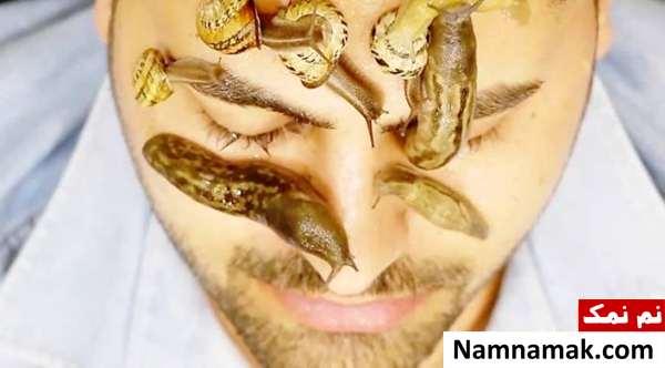حلزون تراپی چیست