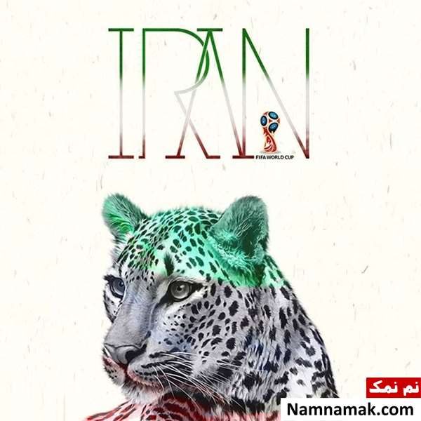متن تیم ملی فوتبال