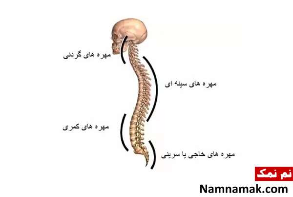 بیماری و مشکلات ستون فقرات : علائم ، تشخیص و درمان بیماری و مشکلات ستون فقرات : علائم ، تشخیص و درمان
