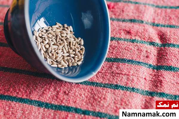 مضرات تخمه آفتابگردان برای معده و زخم معده مضرات تخمه آفتابگردان برای معده و زخم معده