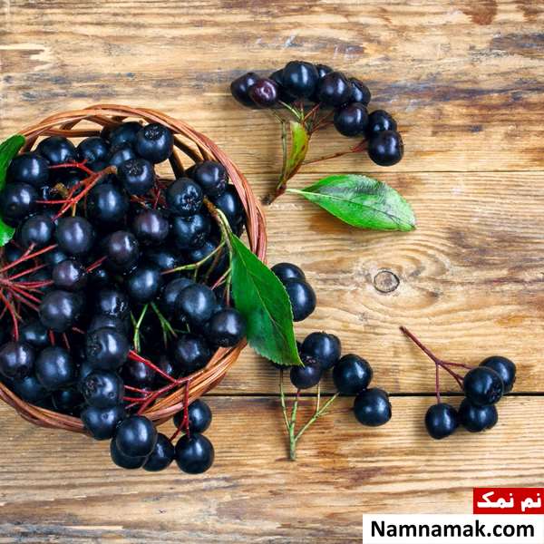 انگورک گلوگیر سرخ انگورک گلوگیر
