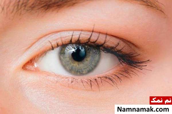 سلامت چشم گوشت و تخم بلدرچین برای سلامت چشم