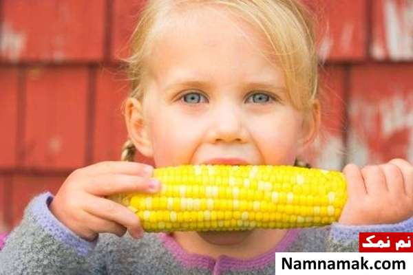 خاصیت ذرت برای کودکان نشاسته ذرت برای کودکان