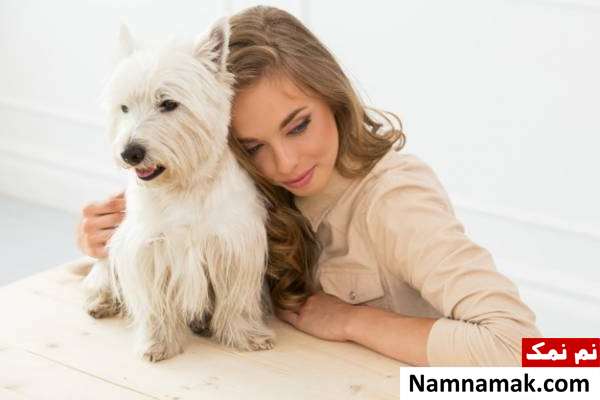 حیوانات خانگی غذاهای حیوانات خانگی
