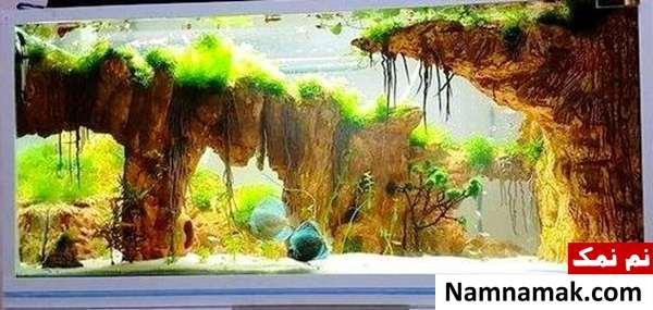 مراقبت از آکواریوم 