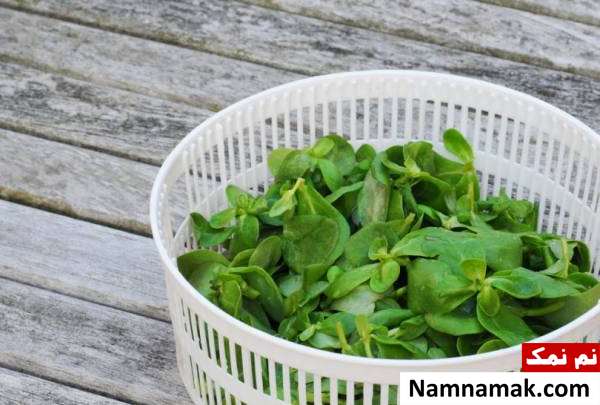 گیاه خرفه خوراکی نام های دیگر گیاه خرفه