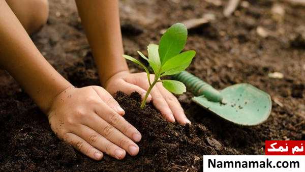 روز درختکاری در آلمان