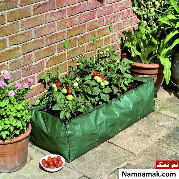 باغچه سبزیجات