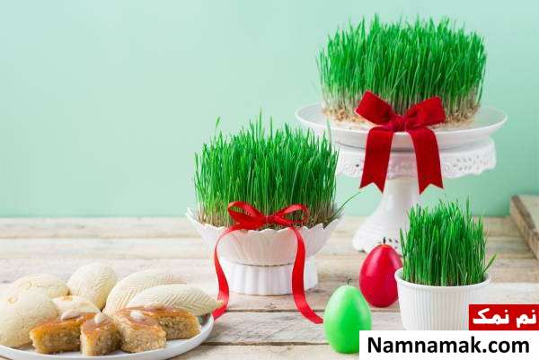 نکات مهم در تهیه سبزه عید