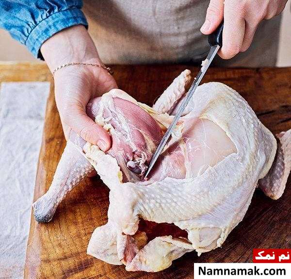 نحوه برش مرغ