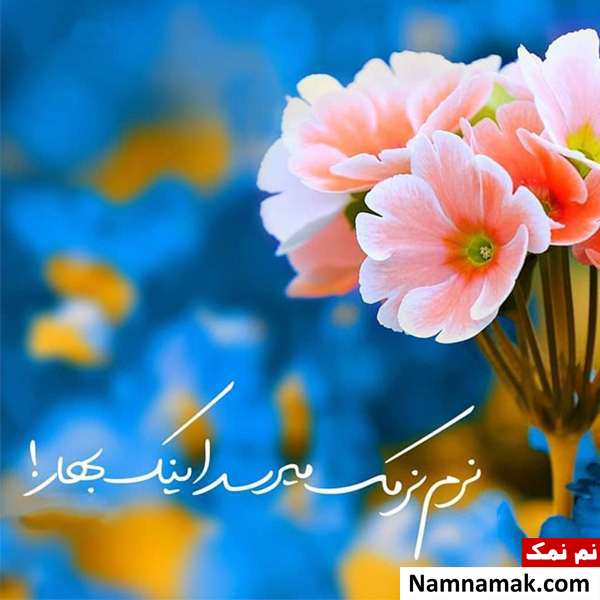 عکس پروفایل نوروز برای اینستاگرام و تلگرام و واتساپ