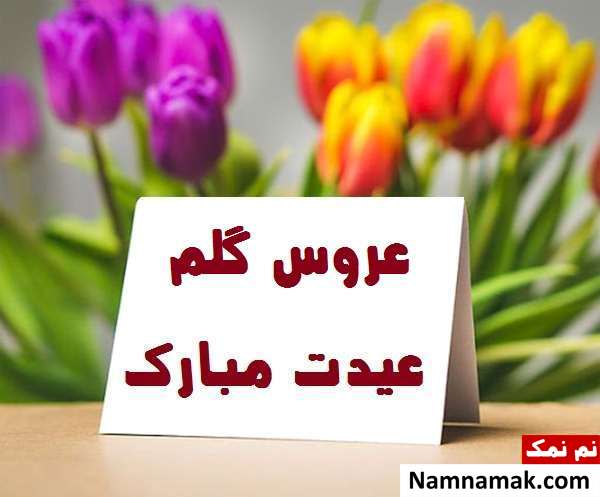 اس ام اس ، عکس نوشته و پیامک تبریک سال نو و عید نوروز به عروس تبریک سال نو و عید نوروز به عروس
