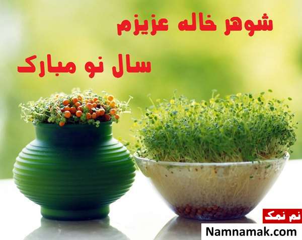 اس ام اس ، عکس نوشته و پیامک تبریک سال نو و عید نوروز به خاله و شوهر خاله