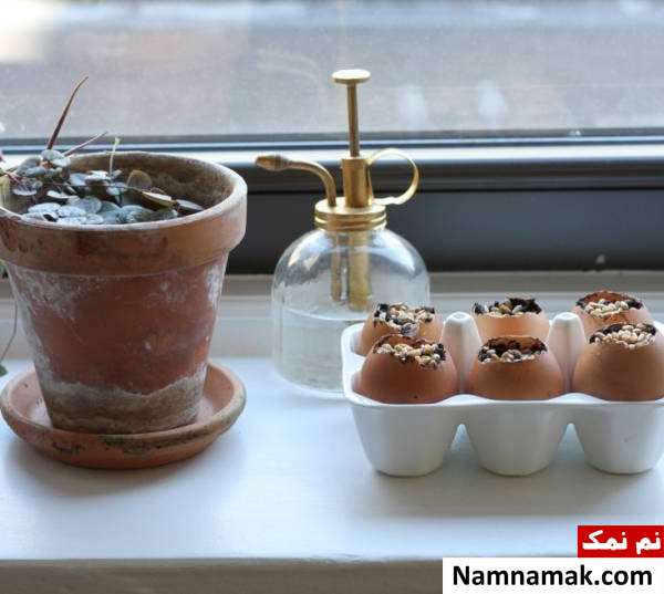 ستفاده از پوست تخمه مرغ برای سبزه عید