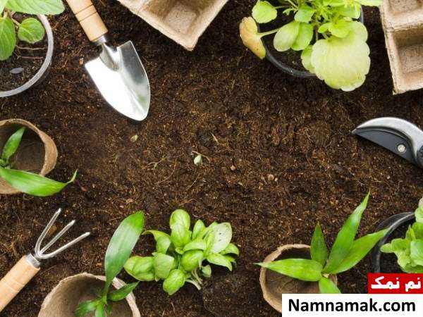 نکات کلیدی باغبانی خاک مناسب برای باغبانی