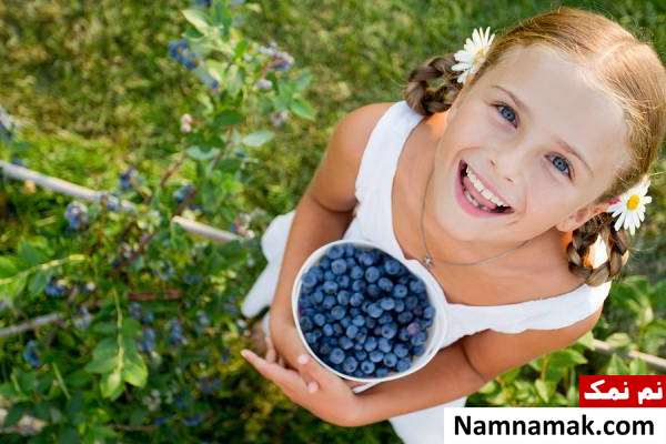 تاثیر بلوبری در افزایش تمرکز کودک