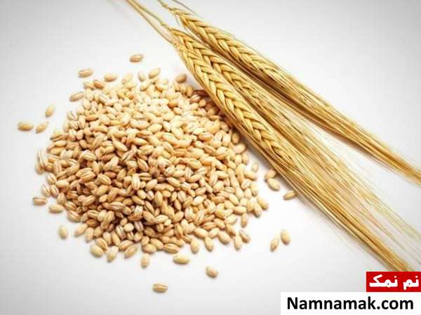 مصرف ناشتا جو بهترین مواد غذایی ناشتا