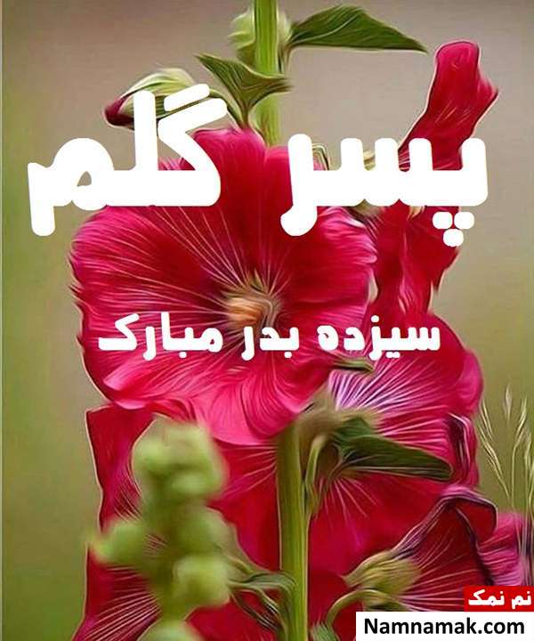 عکس نوشته تبریک روز سیزده بدر به داماد