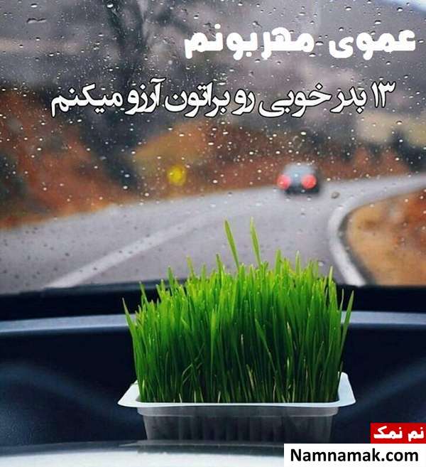اس ام اس و عکس نوشته تبریک سیزده به در به عمو
