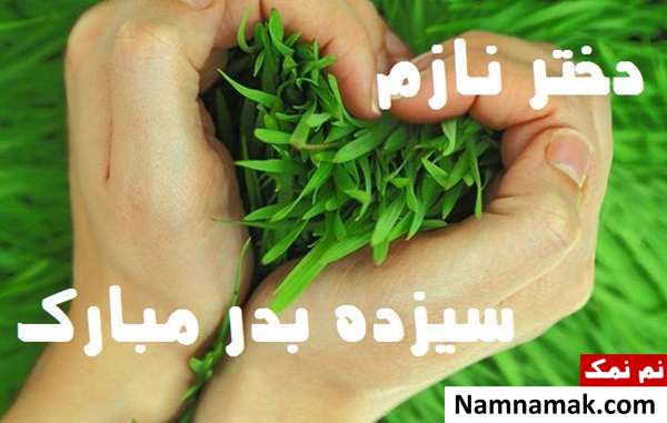 عکس نوشته تبریک روز سیزده بدر به عروس