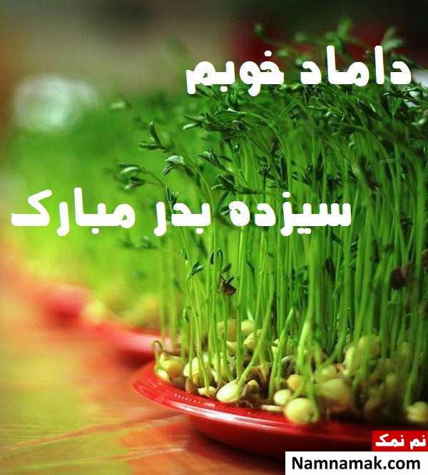 عکس نوشته تبریک روز سیزده بدر به داماد 