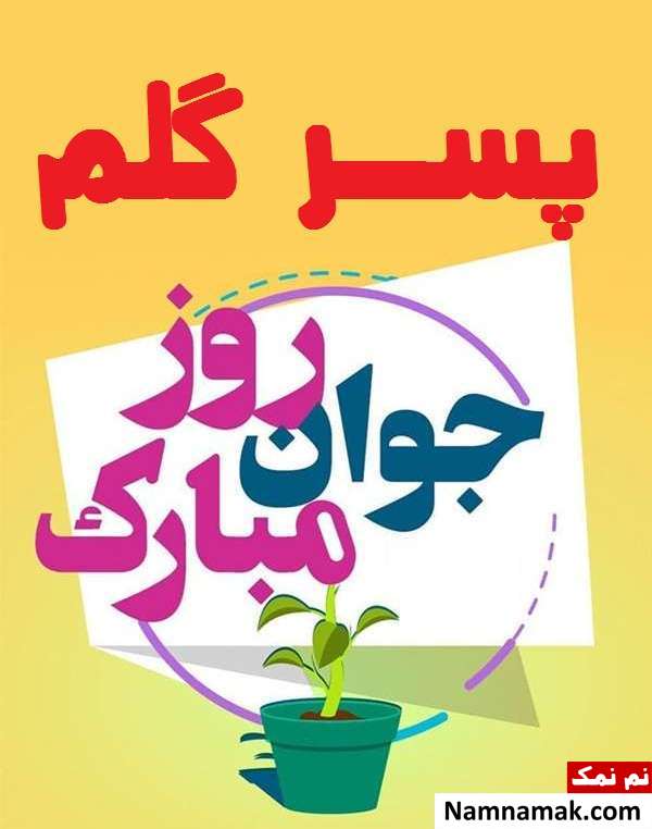 اس ام اس و پیامک تبریک روز جوان به پسر