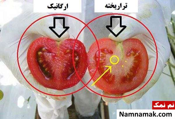 نحوه شناسایی گوجه تراریخته در ایران