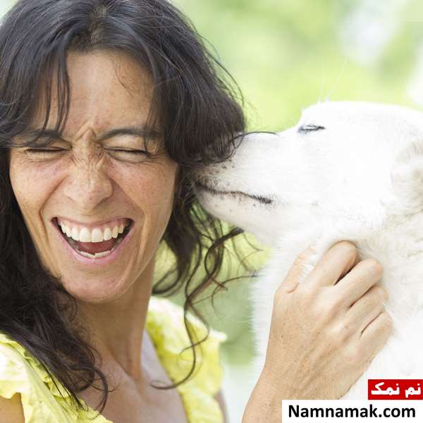 علت نگهداری سگ توسط زنان و دختر خانم ها چیست؟ علت نگهداری سگ توسط زنان و دختر خانم ها چیست؟