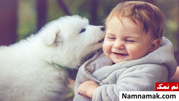 علت نگهداری سگ توسط زنان و دختر خانم ها چیست؟ علت نگهداری سگ توسط زنان و دختر خانم ها چیست؟