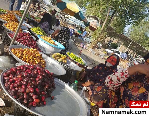 تفاوت و فرق خرما با رطب خرما در میناب استان هرمزگان