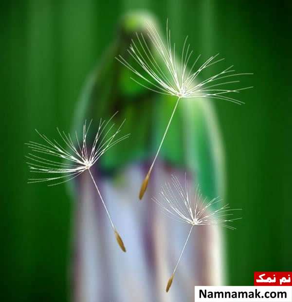 شعر عطار درباره امام زمان