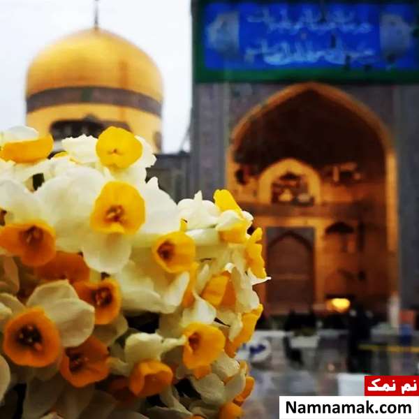 طریقه خواندن زیارت عاشورا برای حاجت