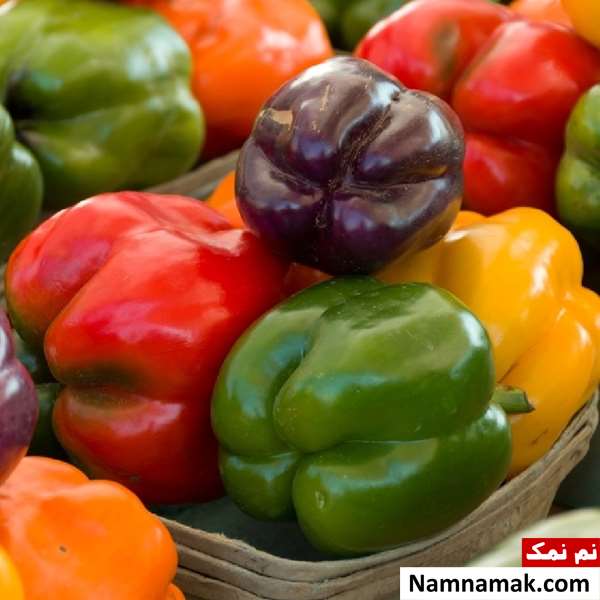 خواص دانه های انواع فلفل دلمه ای خواص دانه های انواع فلفل دلمه ای