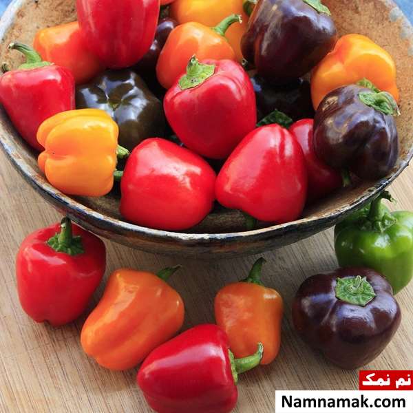 روش نگهداری گیاه فلفل دلمه ای روش نگهداری گیاه فلفل دلمه ای