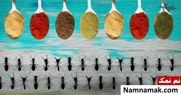 فراری دادن مورچه فراری دادن مورچه با طب سنتی