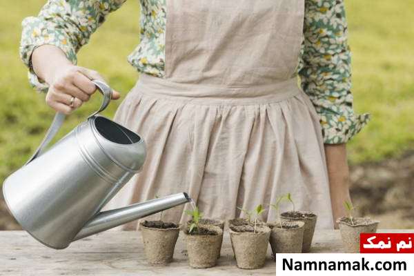 آبیاری گیاهان در سفر انواع روش های آبیاری