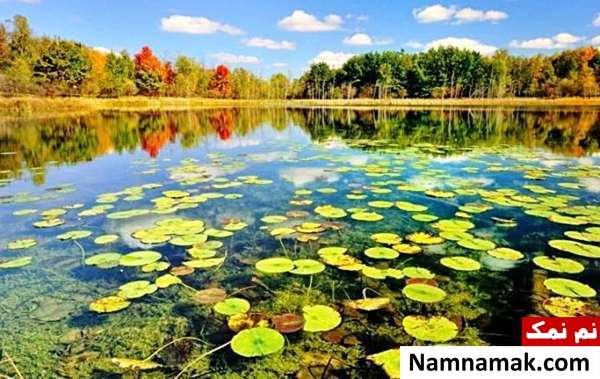  بهترین مکان های تفریحی بندر انزلی