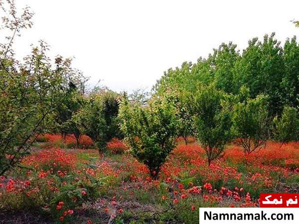  مکان های دیدنی بندر انزلی 