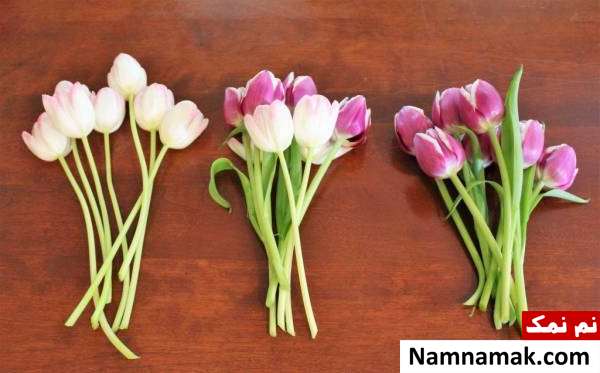 از گل لاله چگونه نگهداری کنیم؟