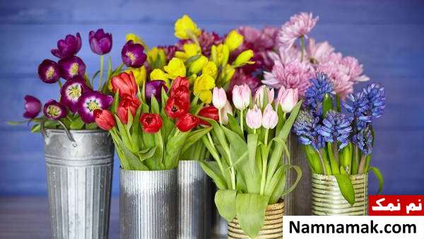 طریقه خرید و نگهداری گل لاله
