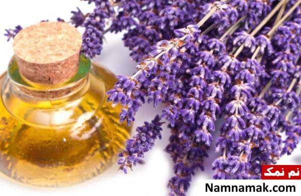 تهیه آفت کش های خانگی دفع آفات با اسطوخودوس