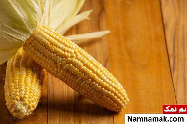 ذرت نگهداری گیاه ذرت