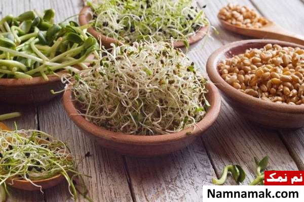 خاصیت جوانه تربچه فواید جوانه تربچه